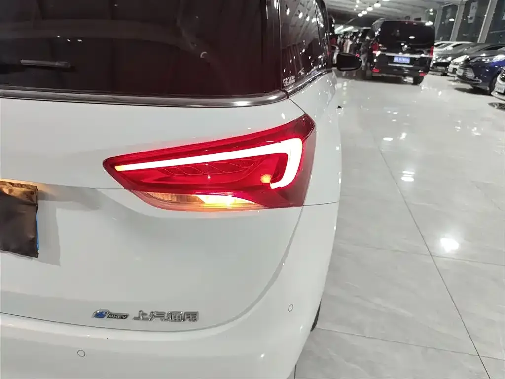 Buick GL6 2021 из CN, фото 8