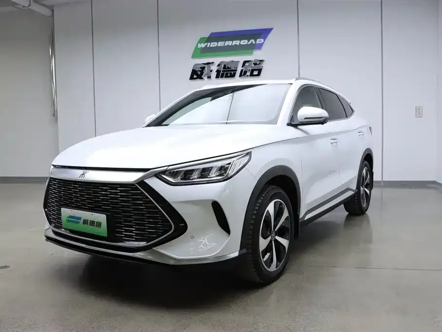 BYD PLUS New Energy 2023 из CN, фото 1
