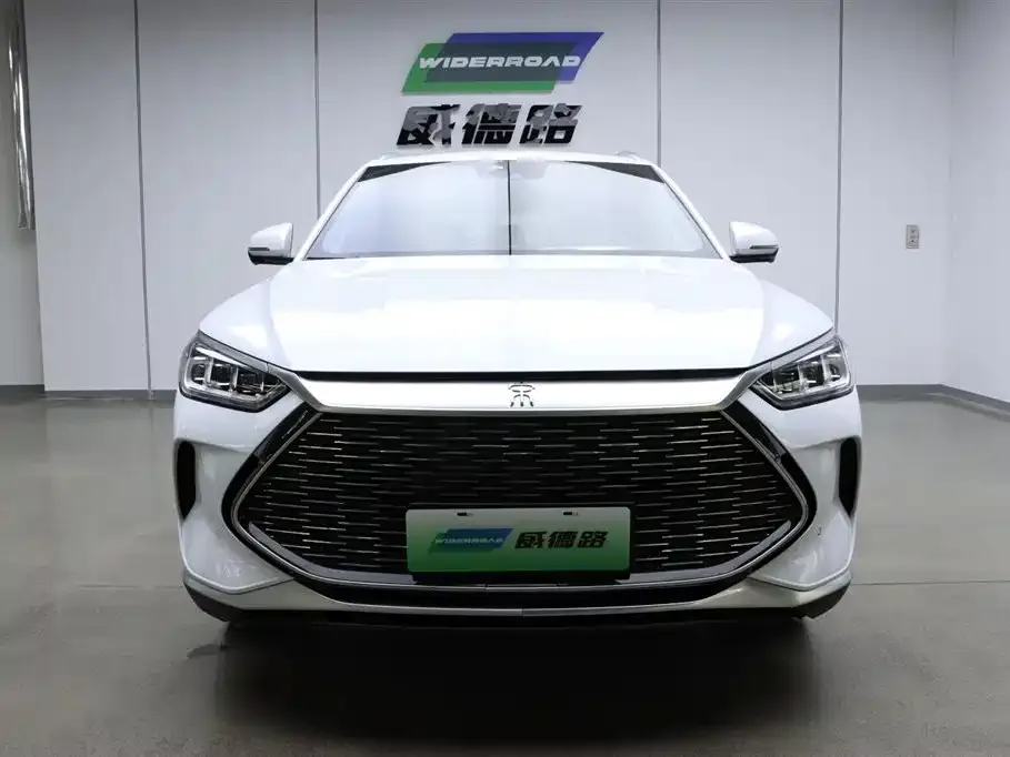 BYD PLUS New Energy 2023 из CN, фото 5