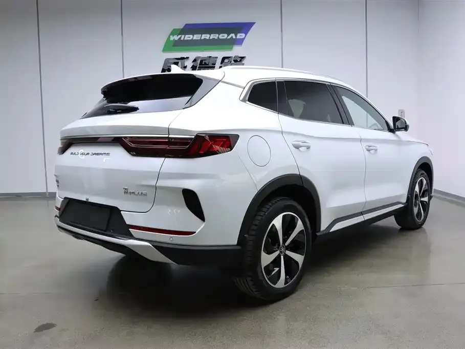BYD PLUS New Energy 2023 из CN, фото 4