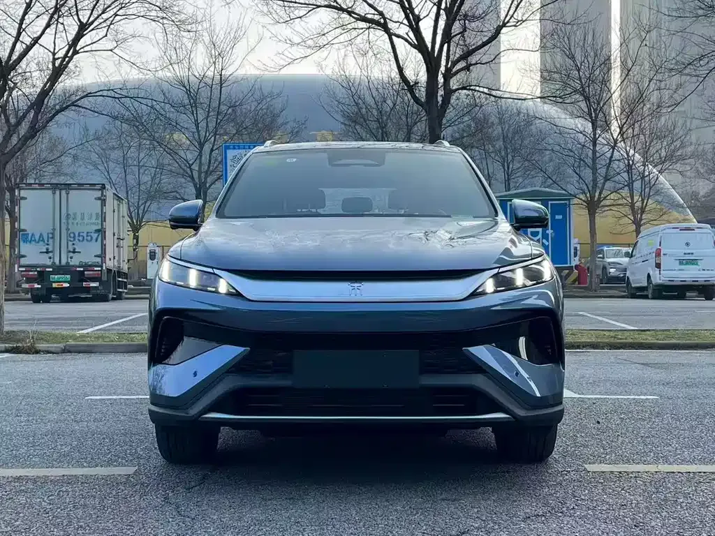 BYD Pro New Energy 2026 из CN, фото 5