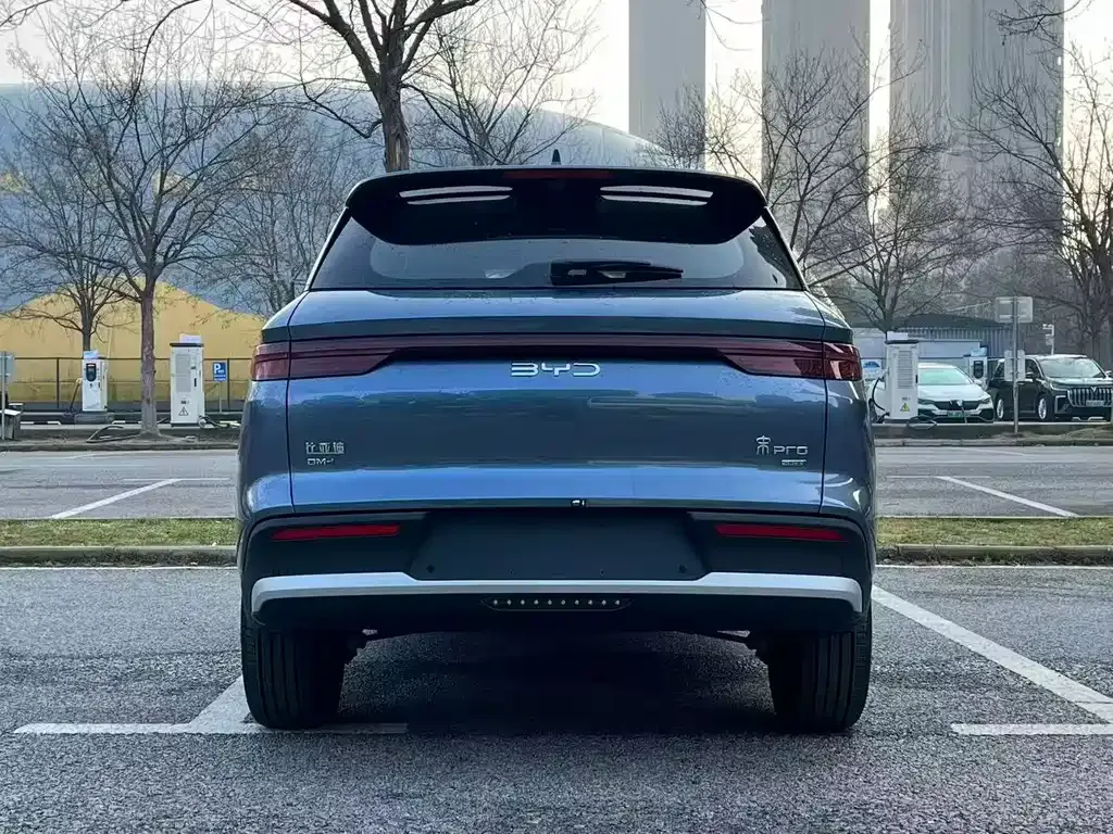 BYD Pro New Energy 2026 из CN, фото 7