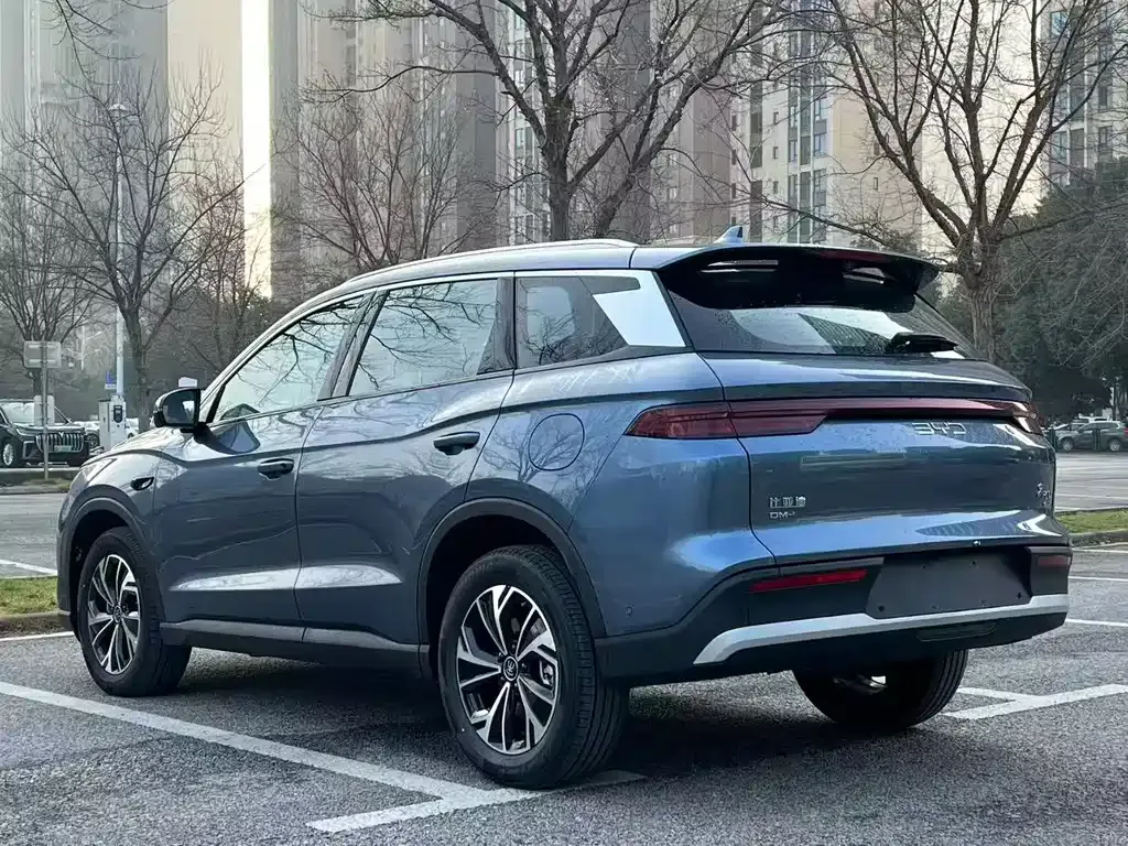 BYD Pro New Energy 2026 из CN, фото 6