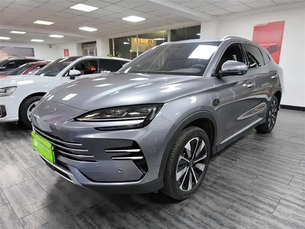BYD PLUS New Energy 2025 из CN, фото 1
