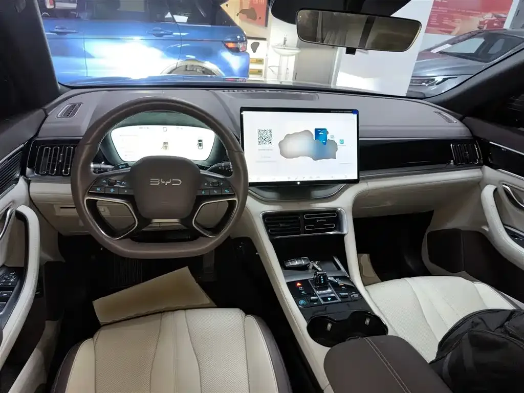 BYD PLUS New Energy 2025 из CN, фото 10