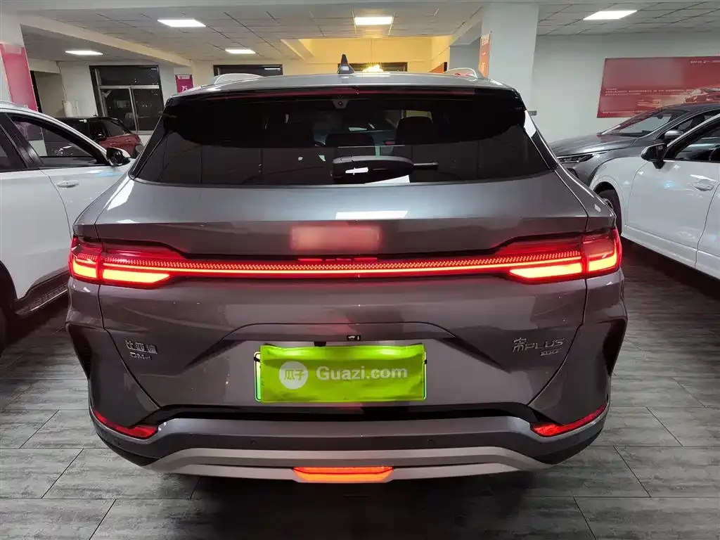 BYD PLUS New Energy 2025 из CN, фото 6