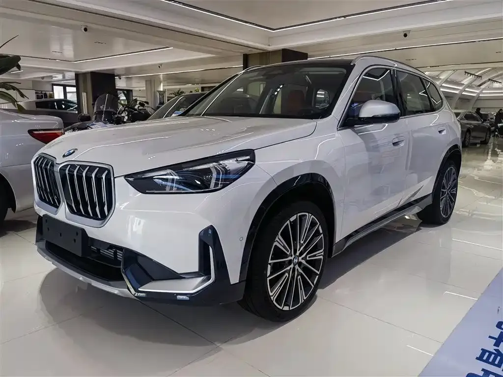 BMW X1 — фото 1