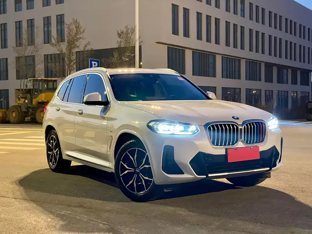 BMW X3 2023 из CN, фото 10