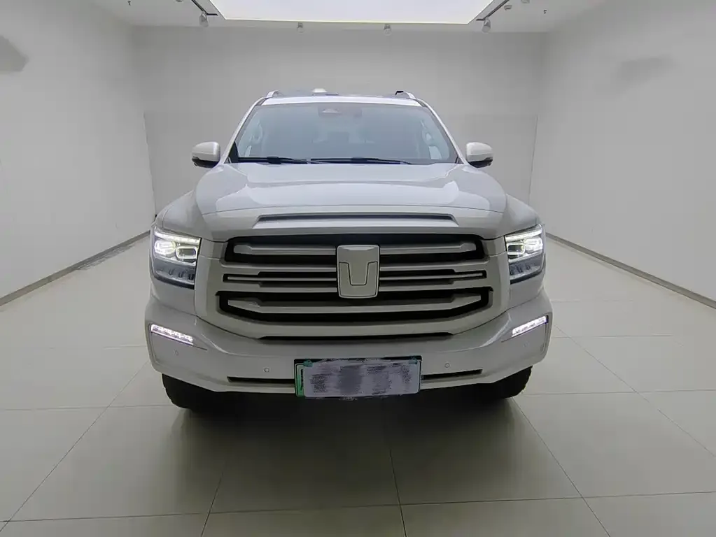 Tank 500 New Energy 2023 из CN, фото 3