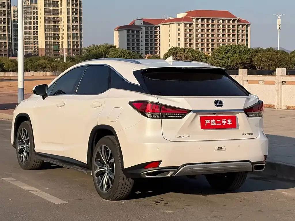 Lexus RX 2022 из CN, фото 9