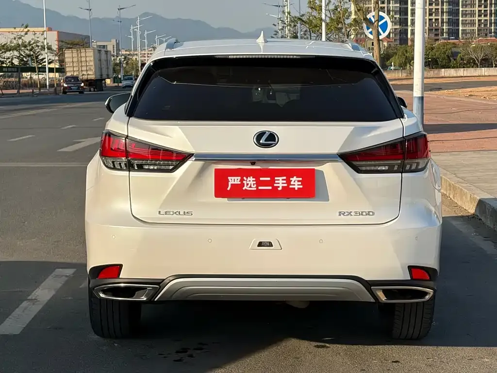 Lexus RX 2022 из CN, фото 6