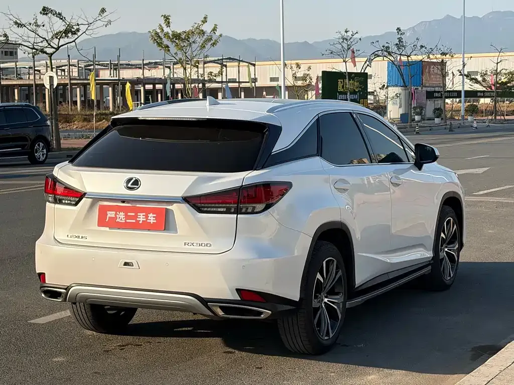 Lexus RX 2022 из CN, фото 5