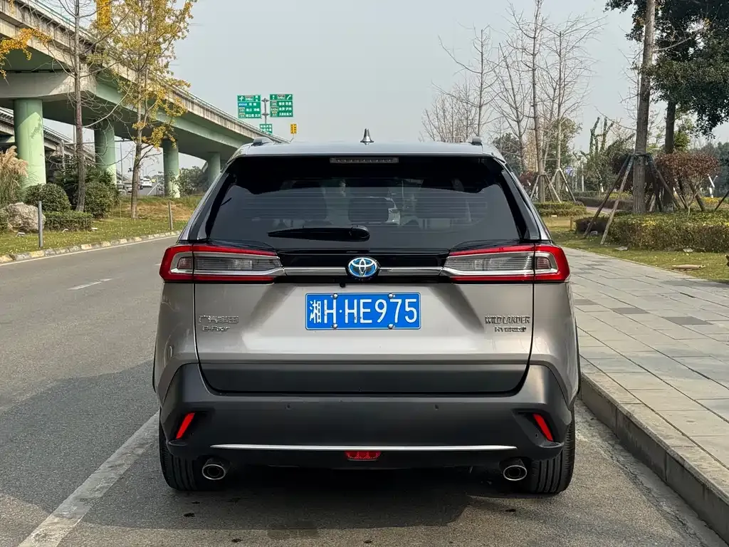 Toyota Wildlander 2023 из CN, фото 8