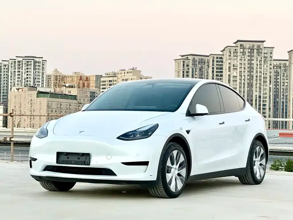 Tesla Model Y — фото 1