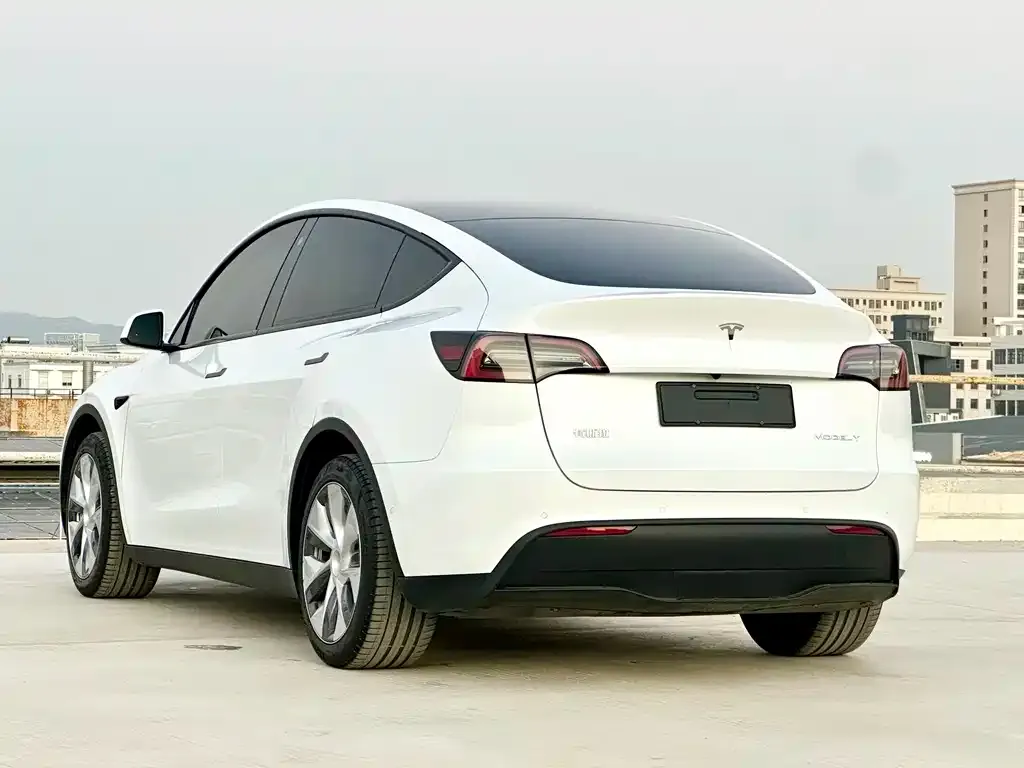 Tesla Model Y — фото 10