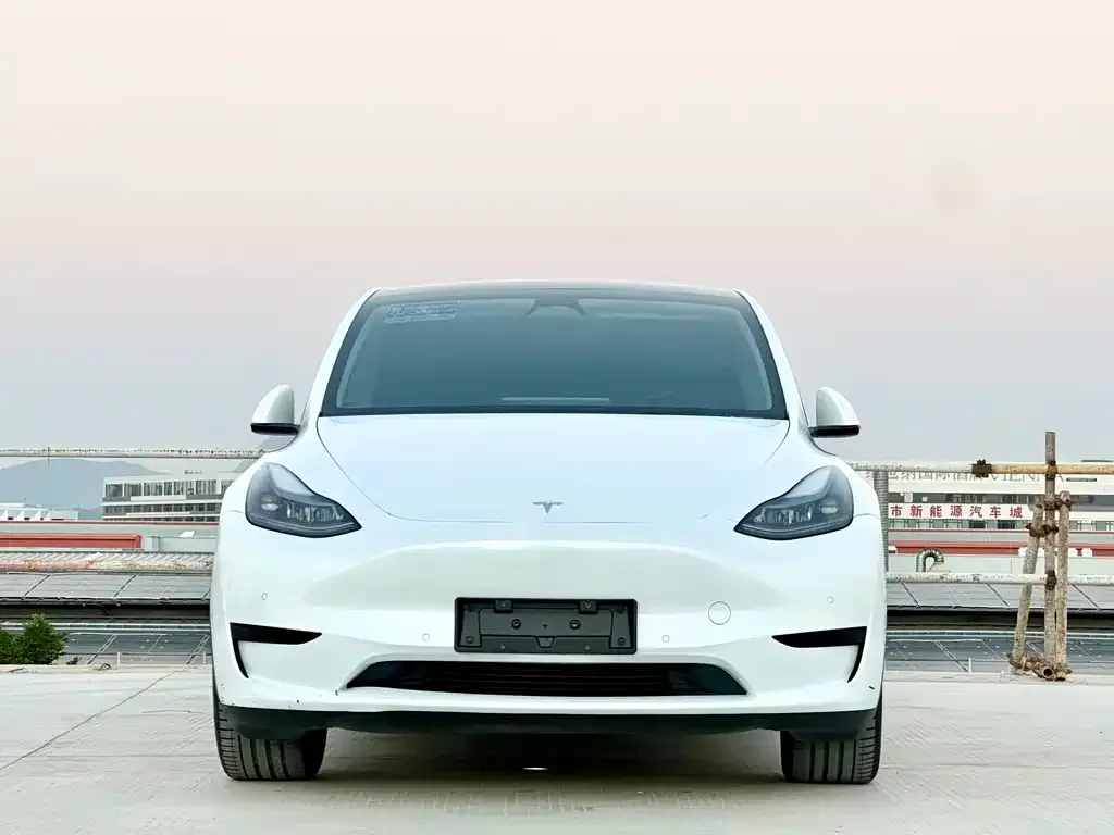Tesla Model Y — фото 2