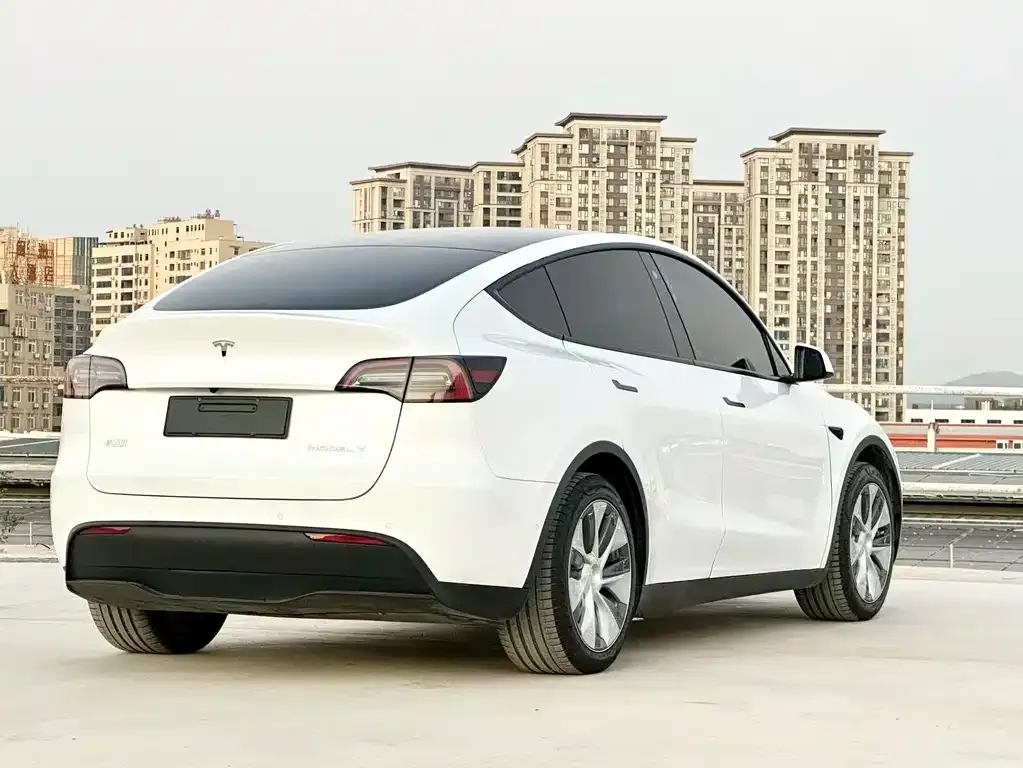 Tesla Model Y — фото 8