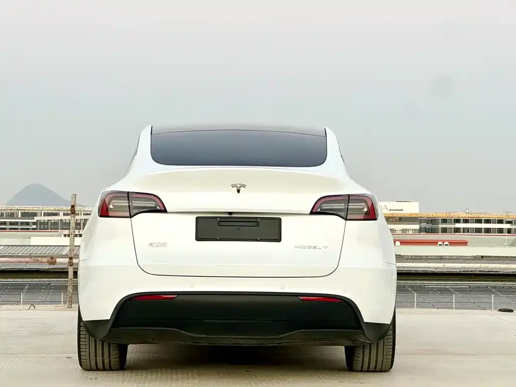 Tesla Model Y — фото 9
