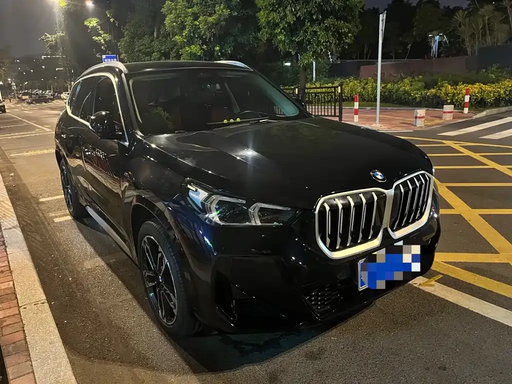 BMW X1 2024 из CN, фото 6