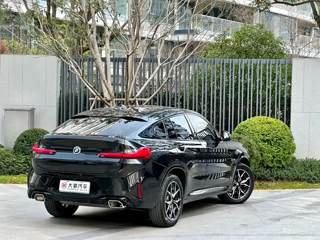 BMW X4 2023 из CN, фото 6