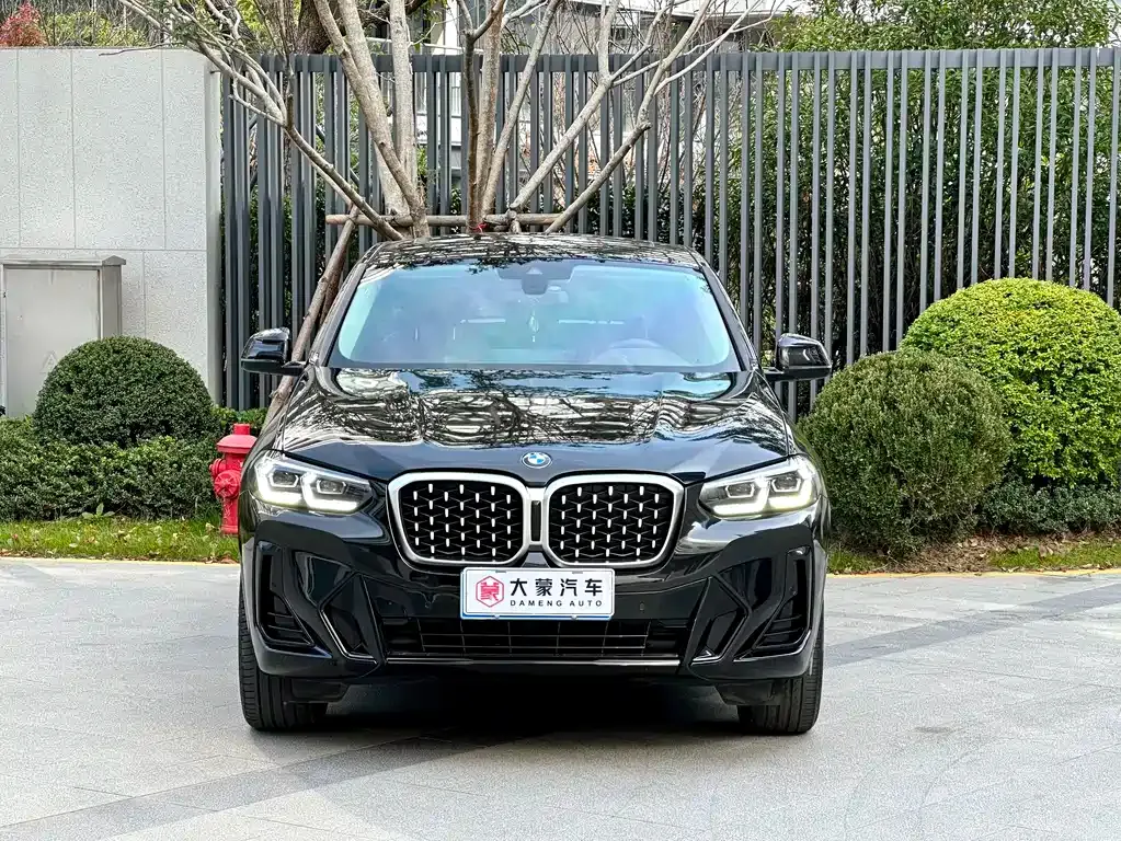 BMW X4 2023 из CN, фото 10