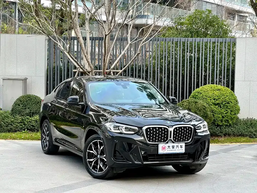 BMW X4 2023 из CN, фото 7