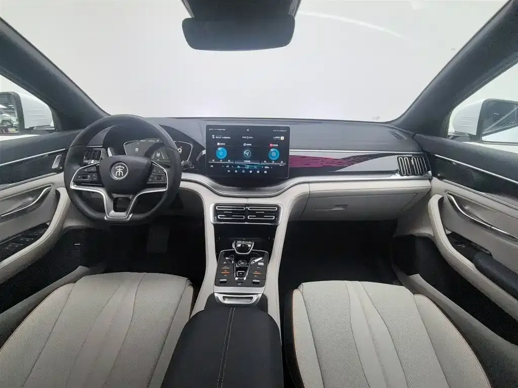 BYD PLUS New Energy — фото 10