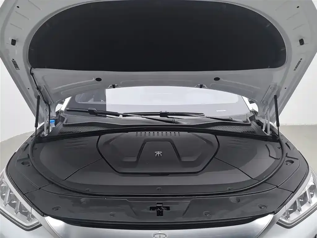 BYD PLUS New Energy — фото 9
