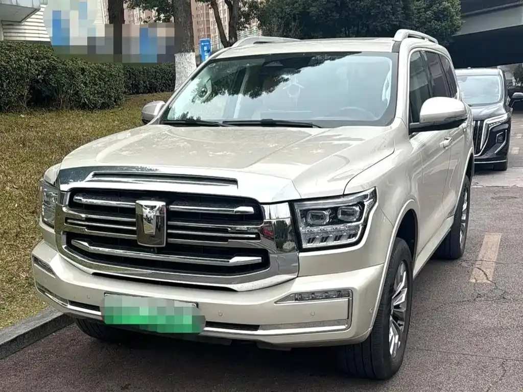 Tank 500 New Energy 2024 из CN, фото 1