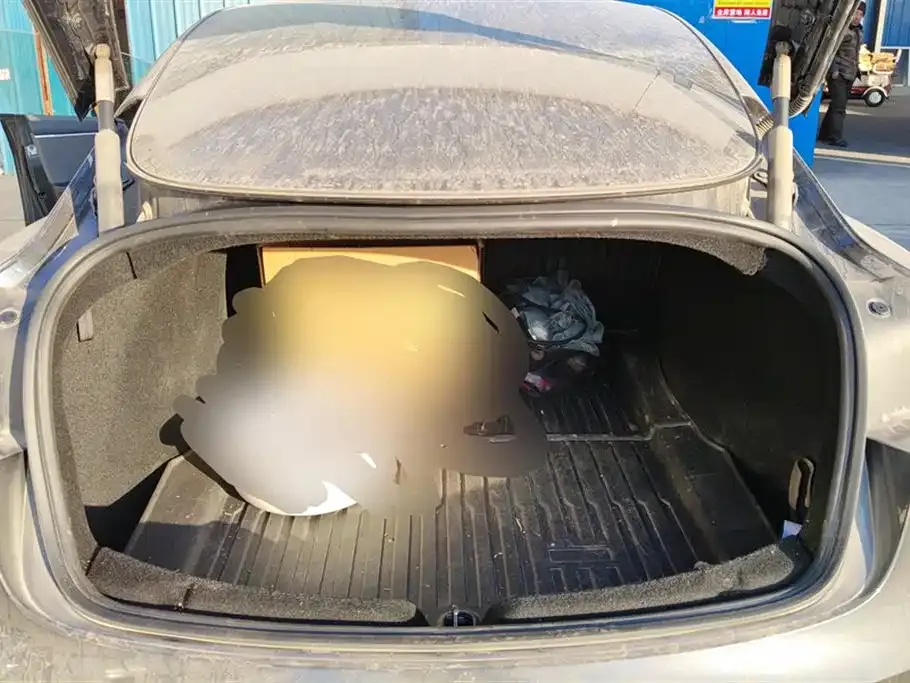 Tesla Model 3 2024 из CN, фото 4