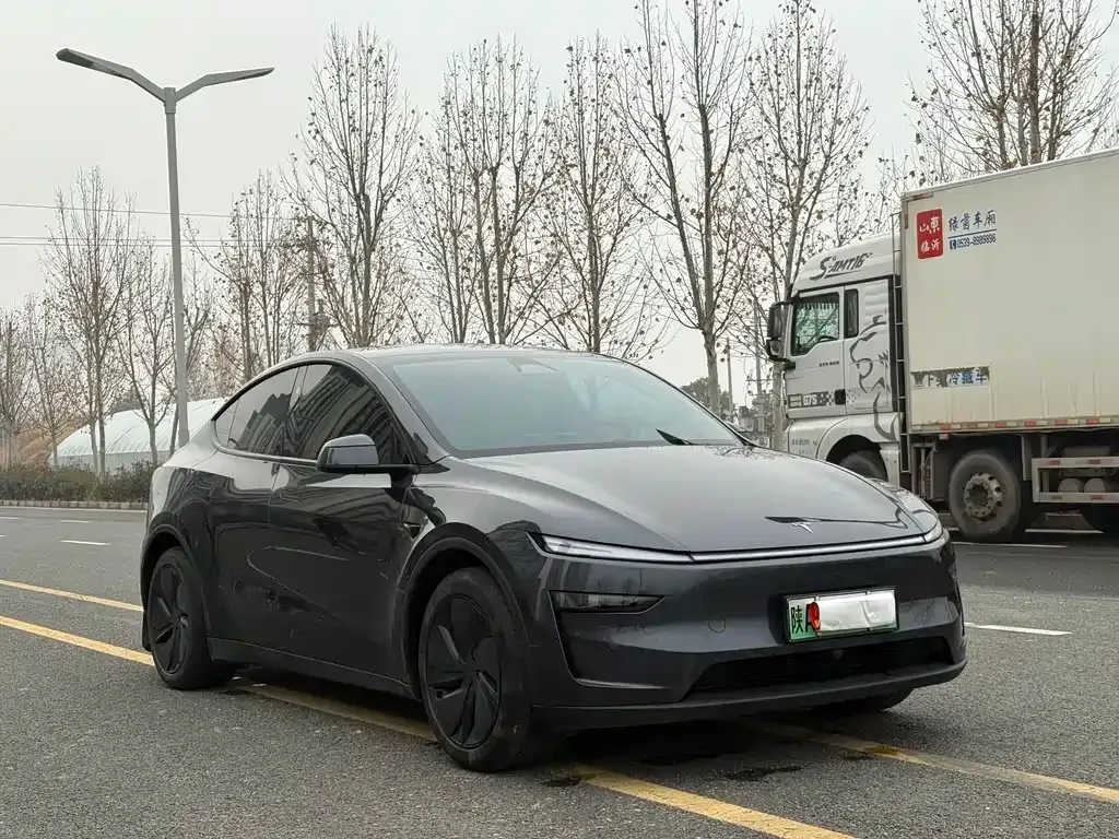 Tesla Model Y — фото 8