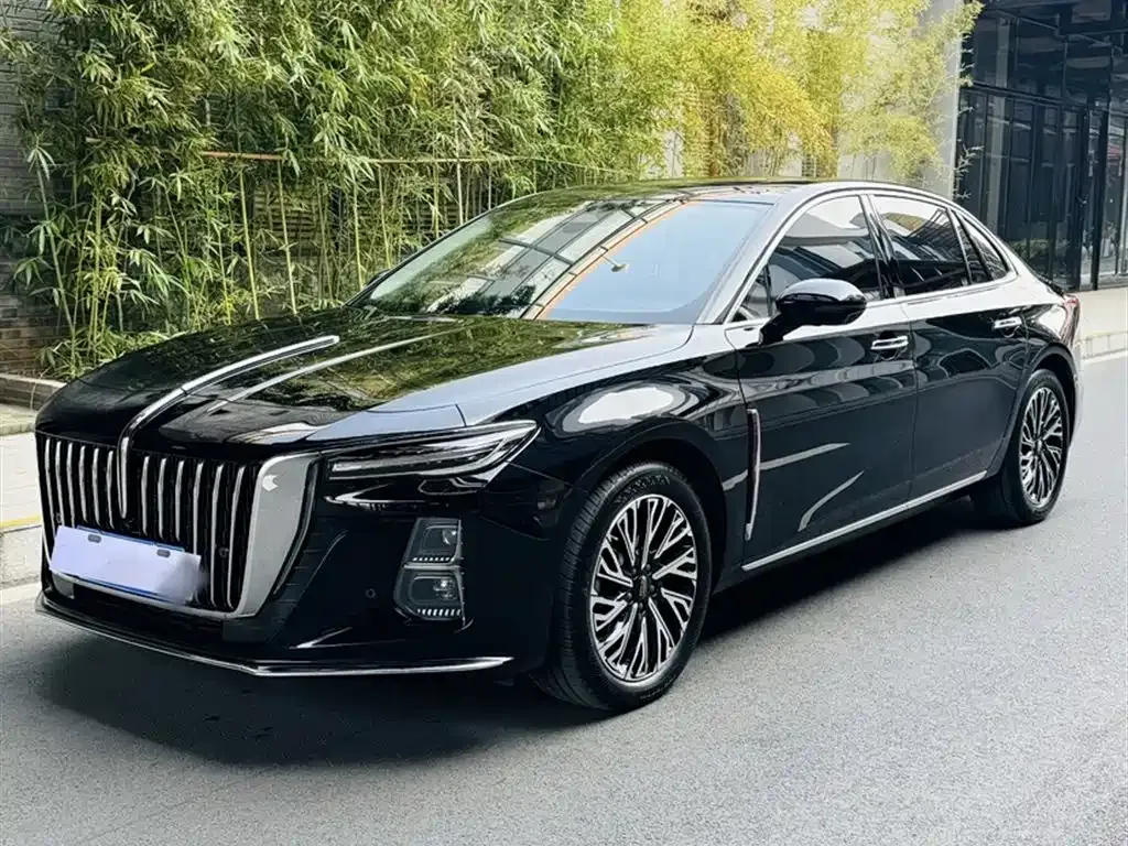 Hongqi H5 2023 из CN, фото 1