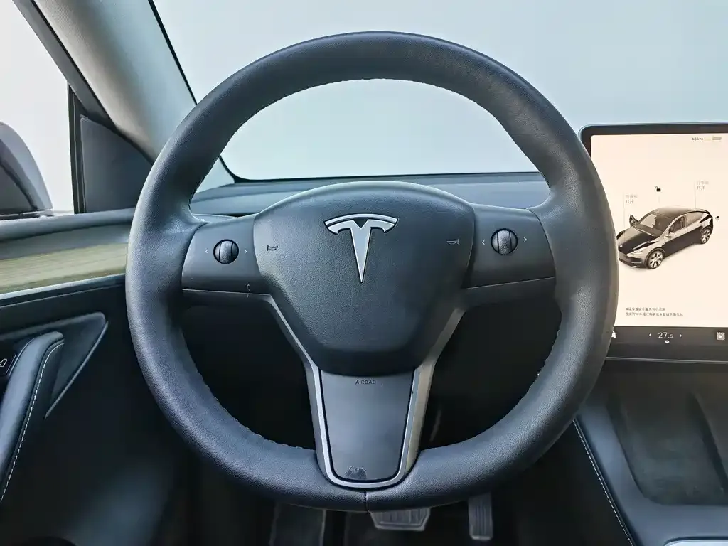 Tesla Model Y — фото 5