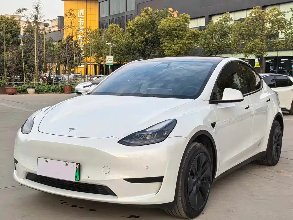 Tesla Model Y 2024 из CN, фото 1