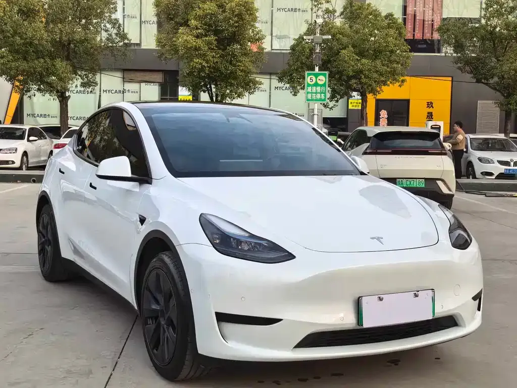 Tesla Model Y 2024 из CN, фото 4