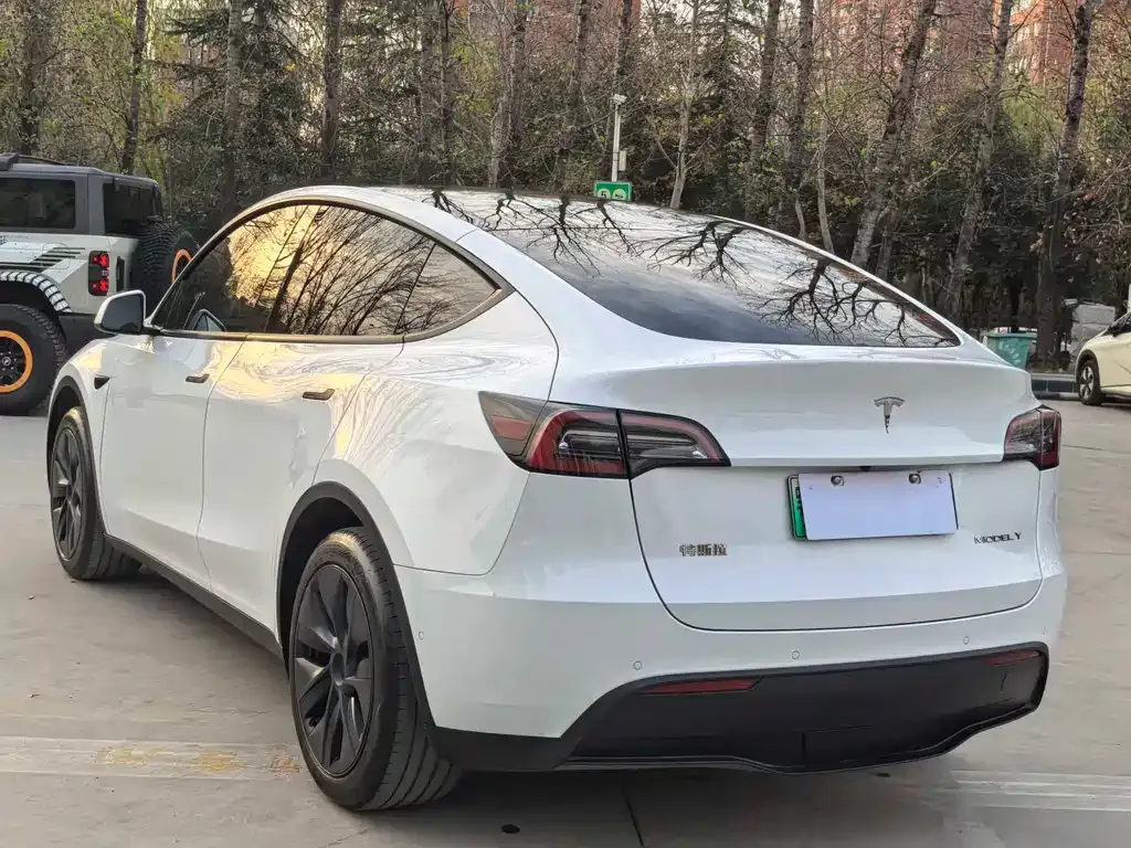 Tesla Model Y 2024 из CN, фото 6