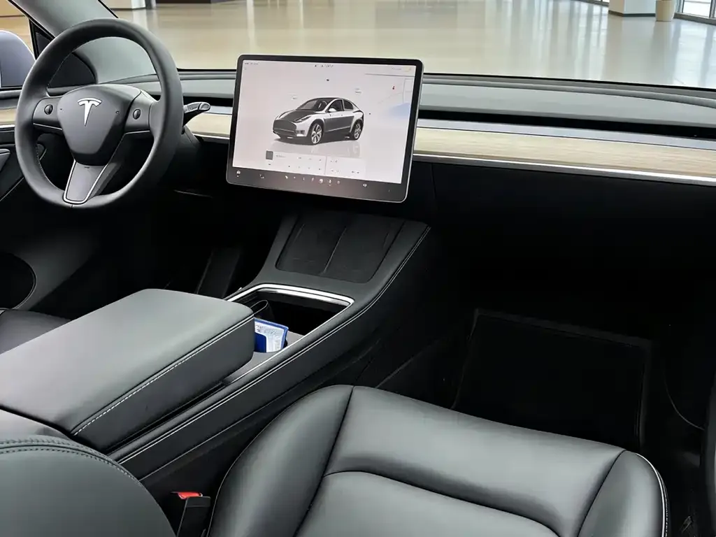Tesla Model Y — фото 10