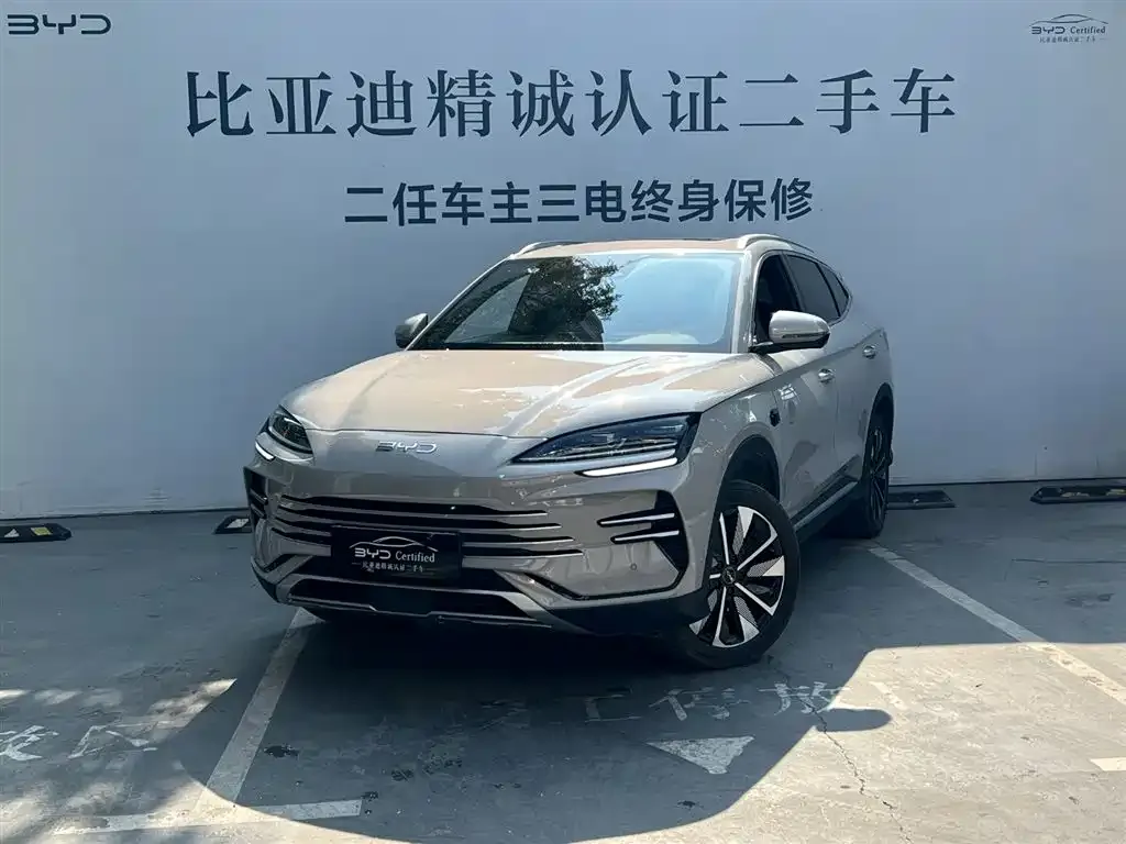 BYD PLUS New Energy — фото 1