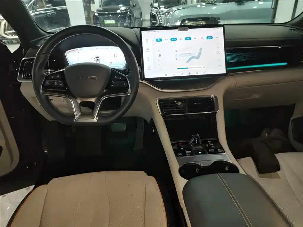 BYD PLUS New Energy — фото 10