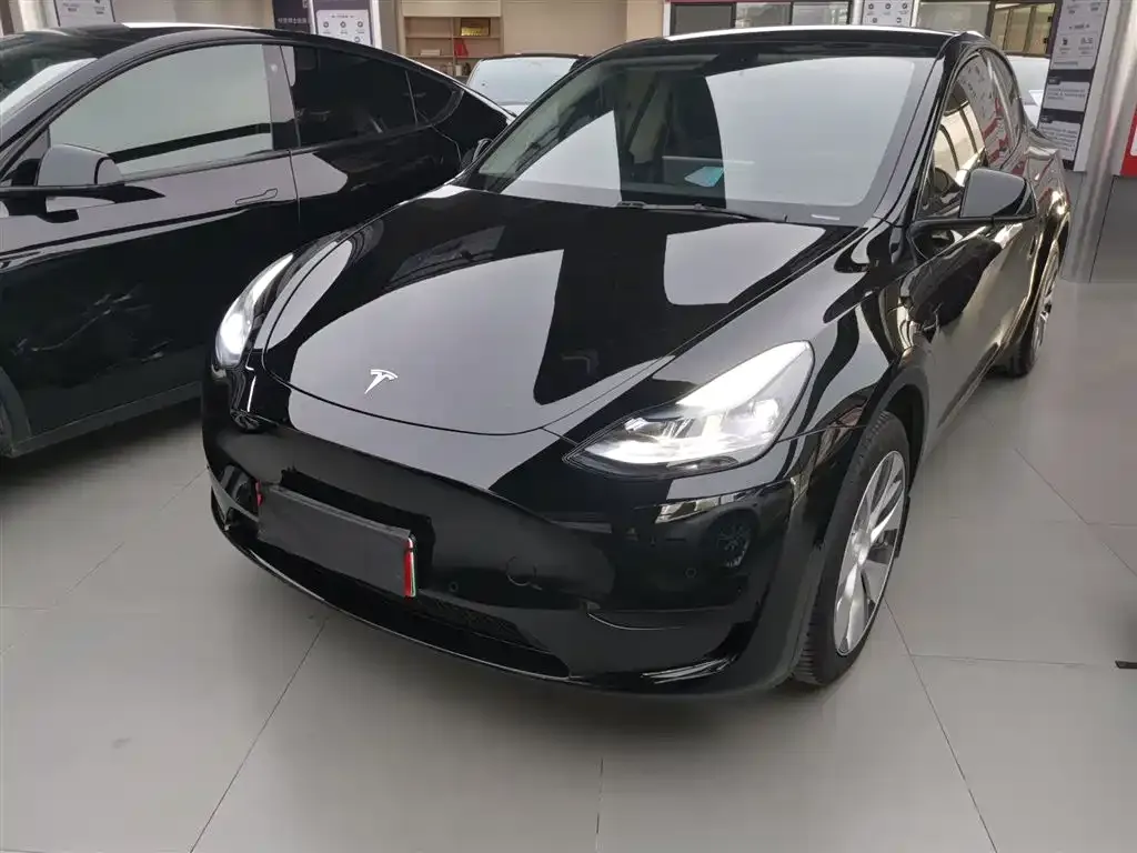 Tesla Model Y — фото 10