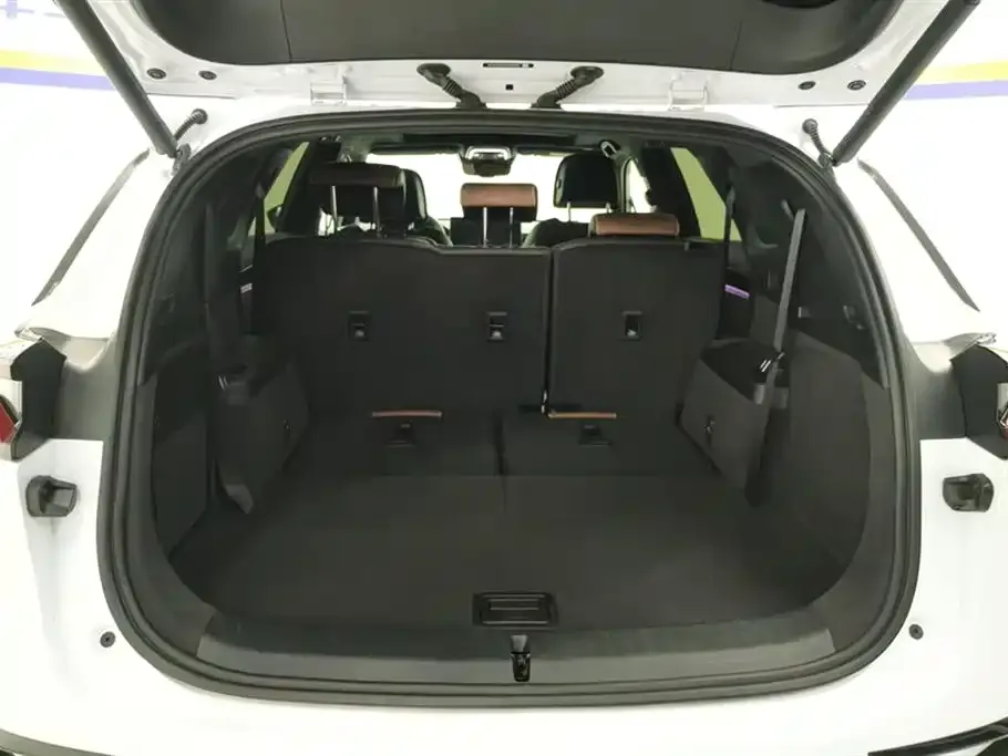 BYD Tang New Energy 2022 из CN, фото 2