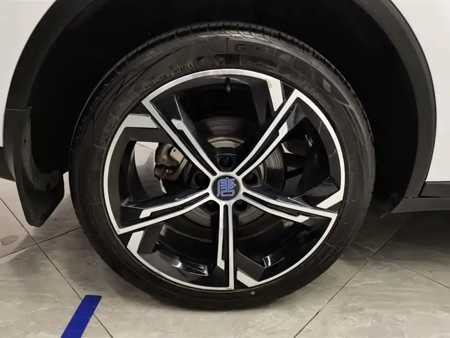BYD Tang New Energy 2022 из CN, фото 9