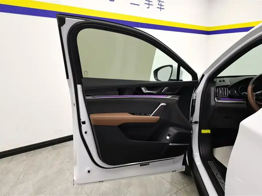 BYD Tang New Energy 2022 из CN, фото 6