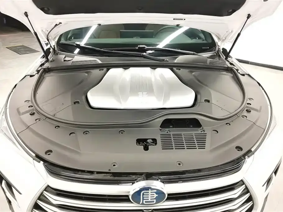 BYD Tang New Energy 2022 из CN, фото 7
