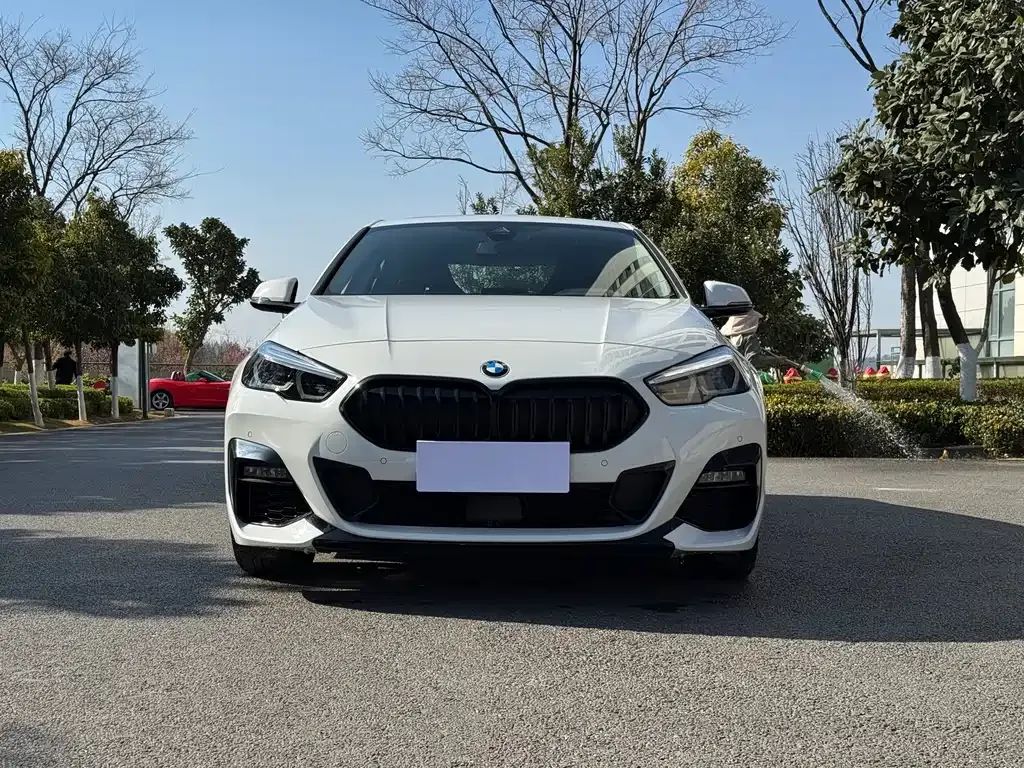 BMW 2 Series (Import) — фото 7