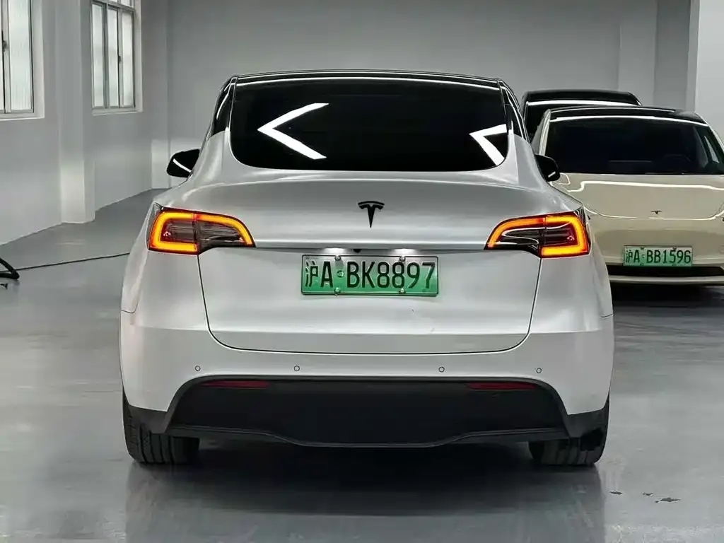 Tesla Model Y 2023 из CN, фото 5
