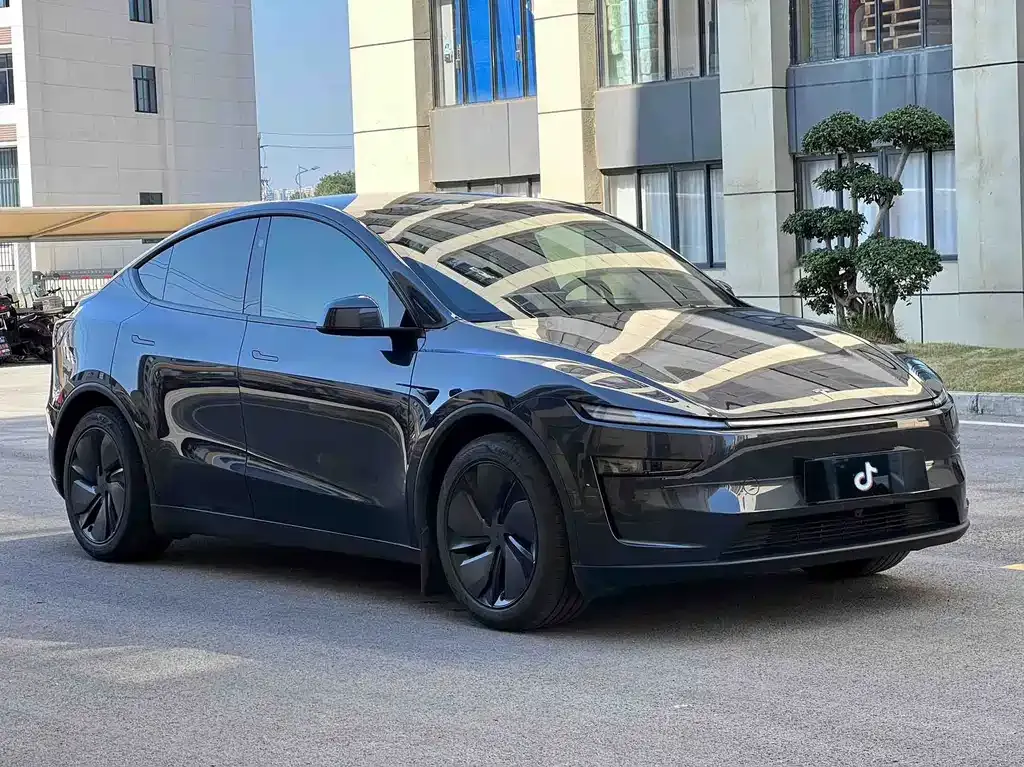 Tesla Model Y — фото 10