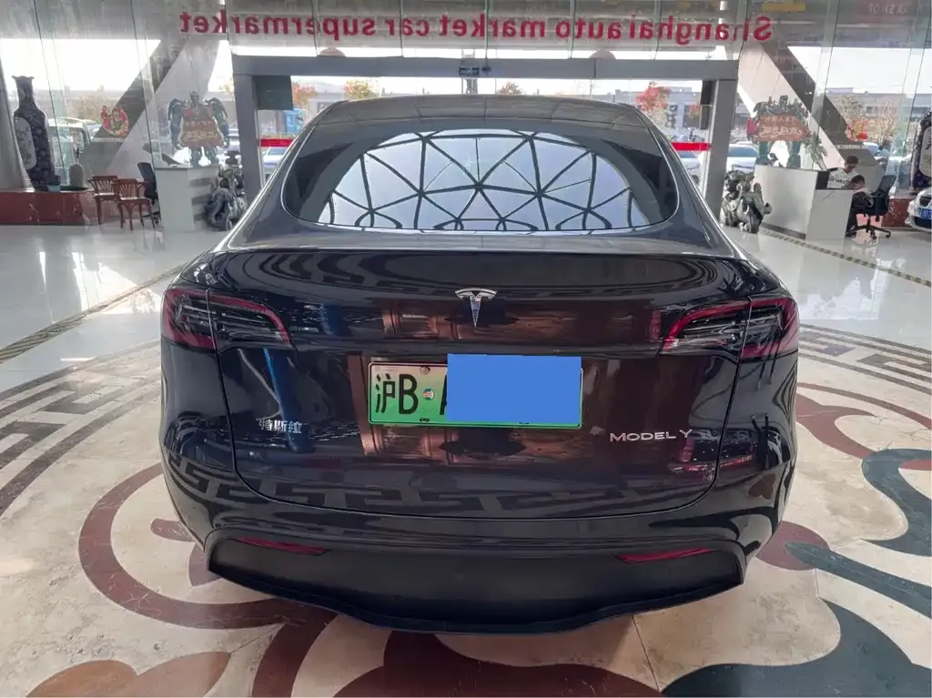 Tesla Model Y 2024 из CN, фото 2