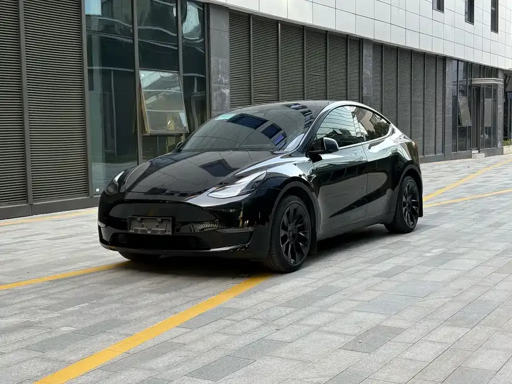 Tesla Model Y — фото 1