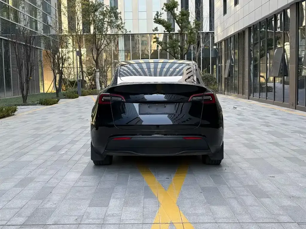 Tesla Model Y — фото 9